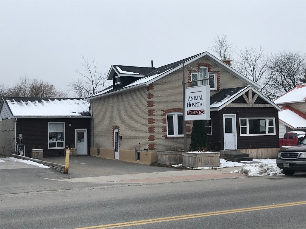 Animal Hospital | 571 Muskoka Rd N, Gravenhurst, ON P1P 1E7, Canada | Phone: (705) 687-6663