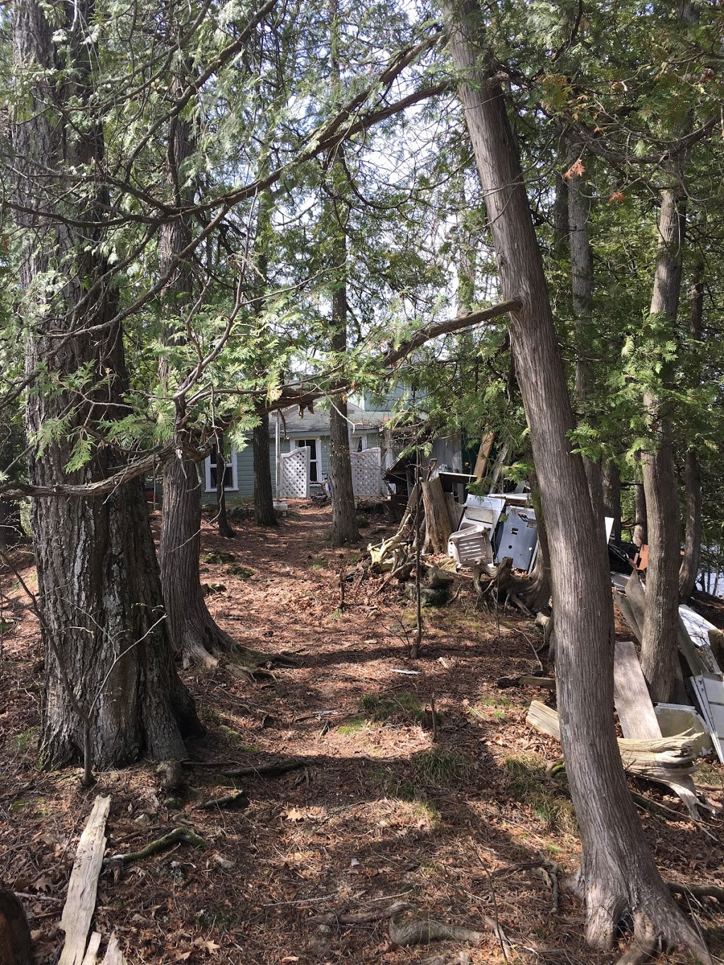 Potato Island Resort | Tay Valley, ON K0G 1V0, Canada | Phone: (416) 320-2431