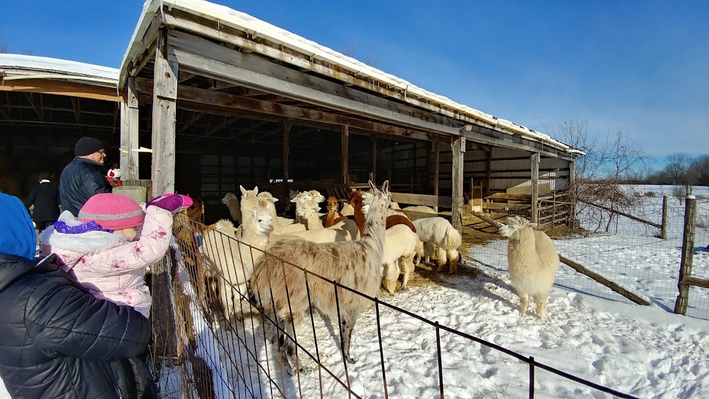 Stone Spindle Farm | 367 County Rd 15, Tamworth, ON K0K 3G0, Canada | Phone: (613) 379-2580