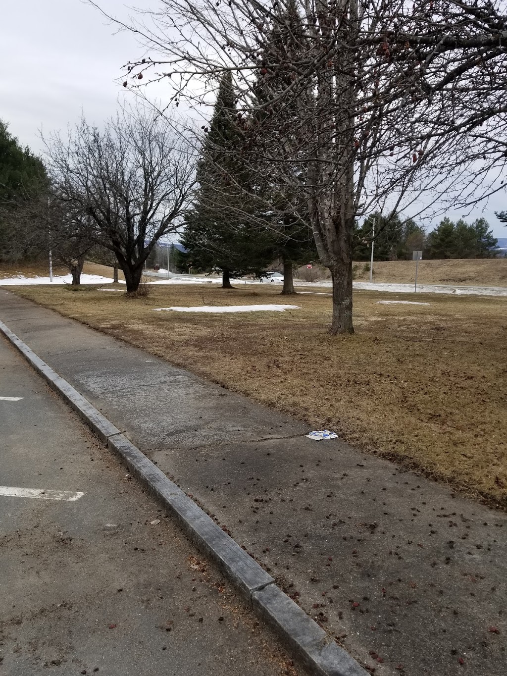 Rest Area | Newport, VT 05855, USA