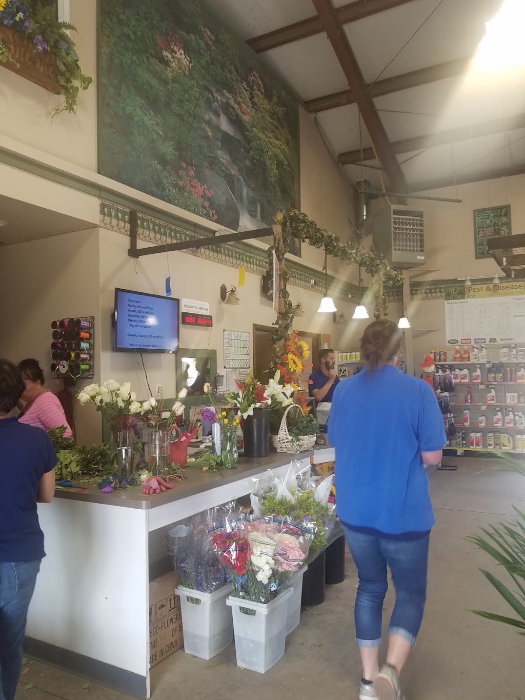 American Beauty Florists | 9800 Transit Rd #1310, East Amherst, NY 14051, USA | Phone: (716) 689-6764
