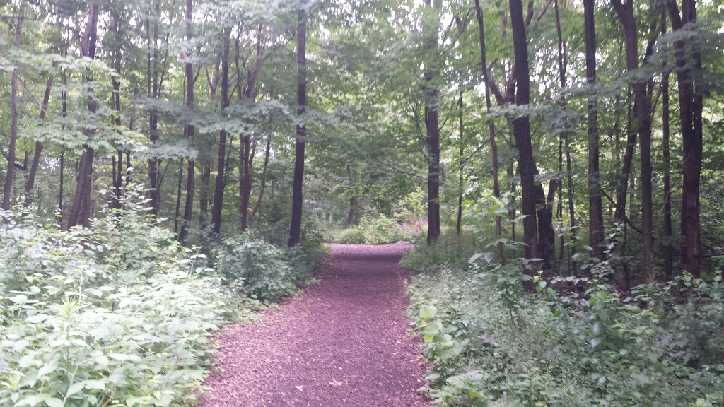 Raymerville Woodlot | Markham, ON L3P, Canada