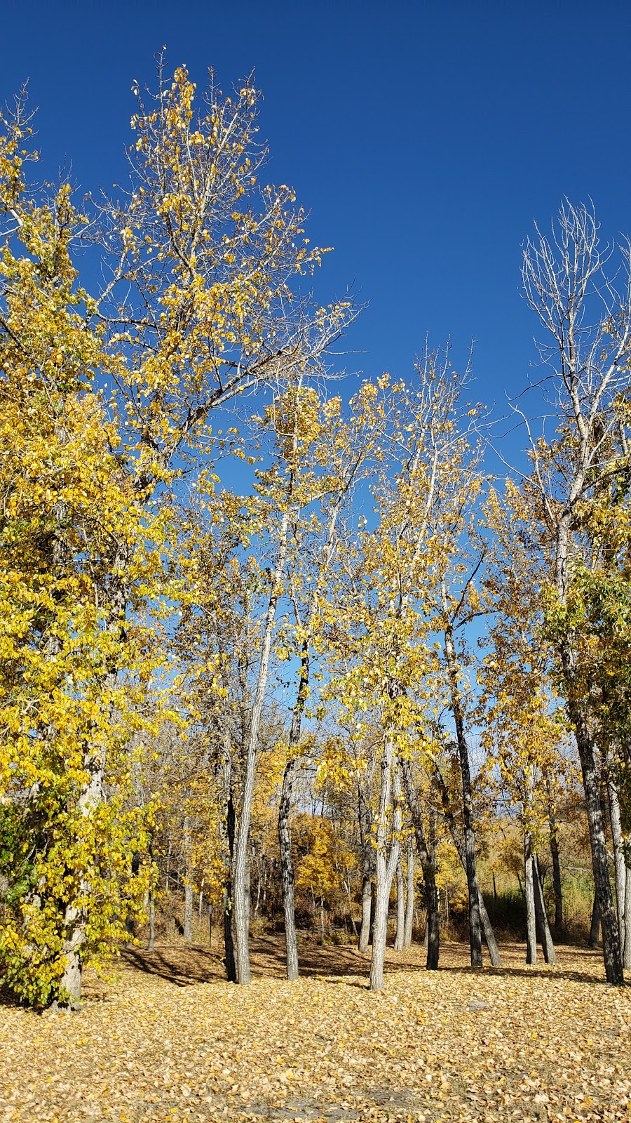 Turner Valley Public Works | 505 Sunrise Hill SW, Turner Valley, AB T0L 2A0, Canada | Phone: (403) 933-5732