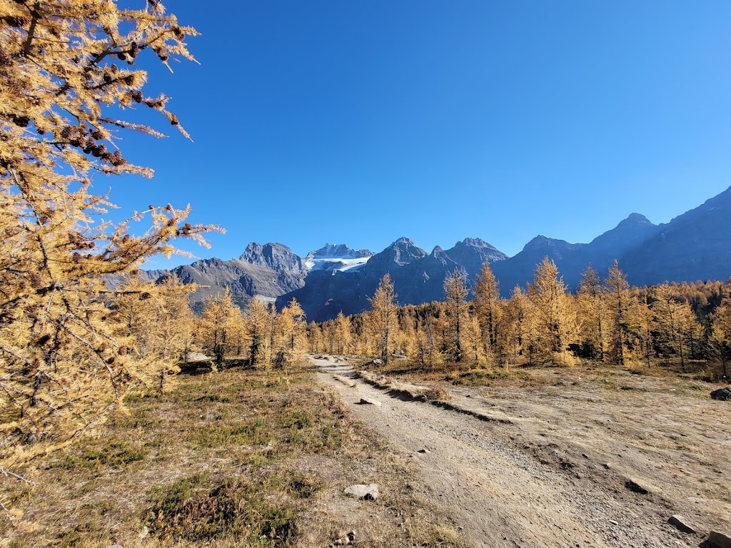 Sentinel Pass | Improvement District No. 9, AB T0L, Canada | Phone: (403) 522-3833