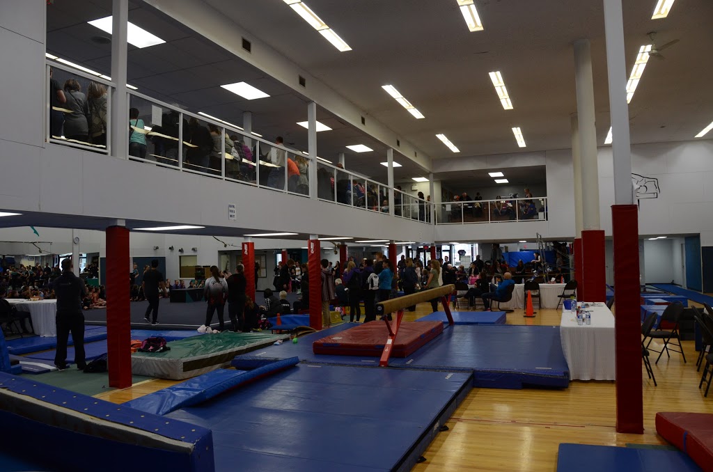 St Albert Gymnastics Club | 2A Riel Dr, St. Albert, AB T8N 3Z7, Canada | Phone: (780) 459-4256