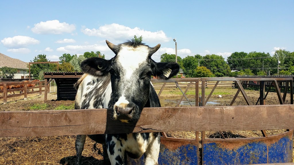 Ferme du Domaine Quinchien | 552 Route de Lotbinière, Vaudreuil-Dorion, QC J7V 0H4, Canada | Phone: (438) 837-9808