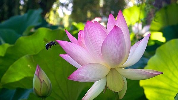 The Hive And Grove Centre for Holistic Wellness | 226 Frederick St, Kitchener, ON N2H 2M8, Canada | Phone: (519) 578-5683