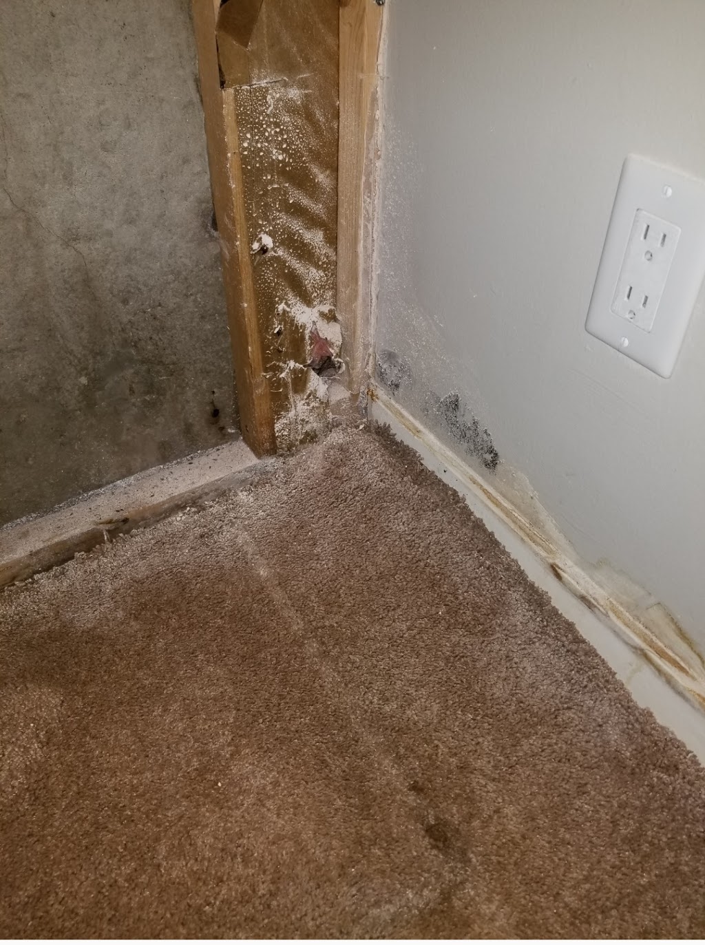 NO LIMIT Restorations & Carpet Cleaning | 7405 16 Ave SW, Edmonton, AB T6X 0E1, Canada | Phone: (780) 603-1106