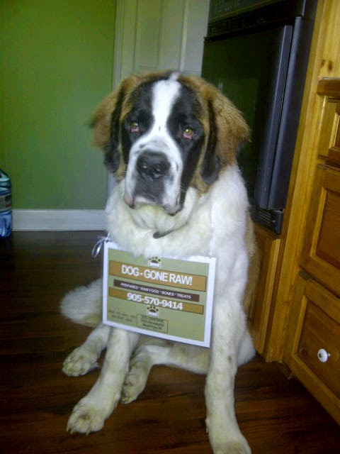 Dog-Gone Raw | 3149 Homestead Dr, Mount Hope, ON L0R 1W0, Canada | Phone: (905) 570-9414