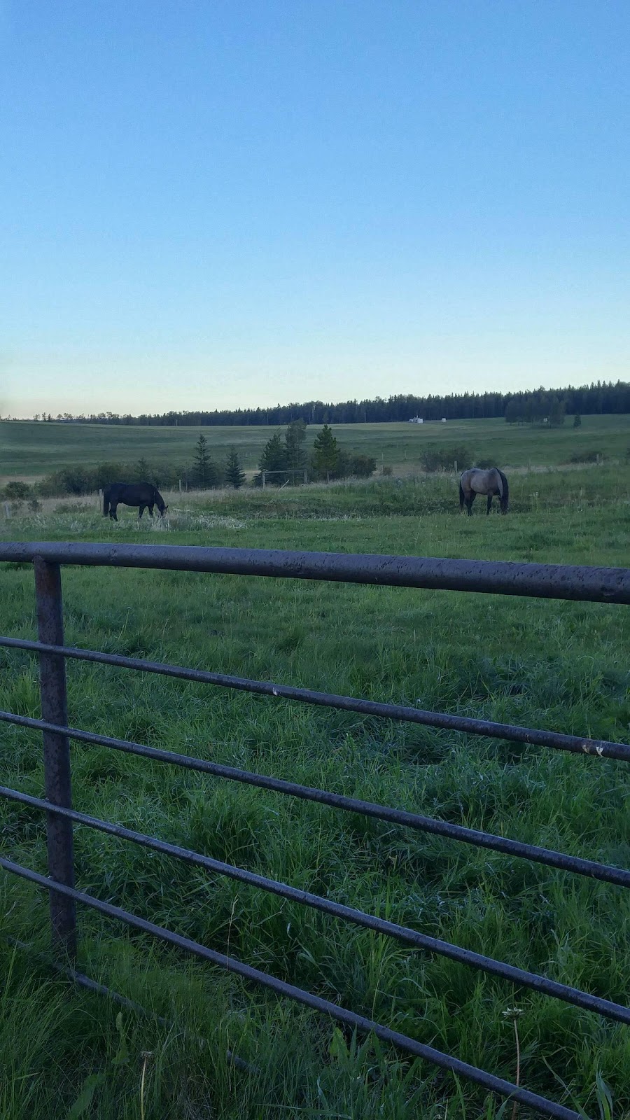 Bar EK Stables | Mountain View County, AB T0M, Canada