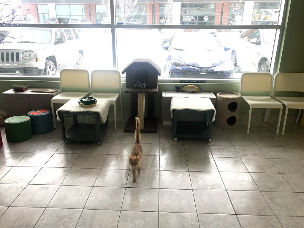Cafe & Mi | 12 Royal Vista Way NW #1134, Calgary, AB T3R 0K4, Canada | Phone: (403) 375-4611