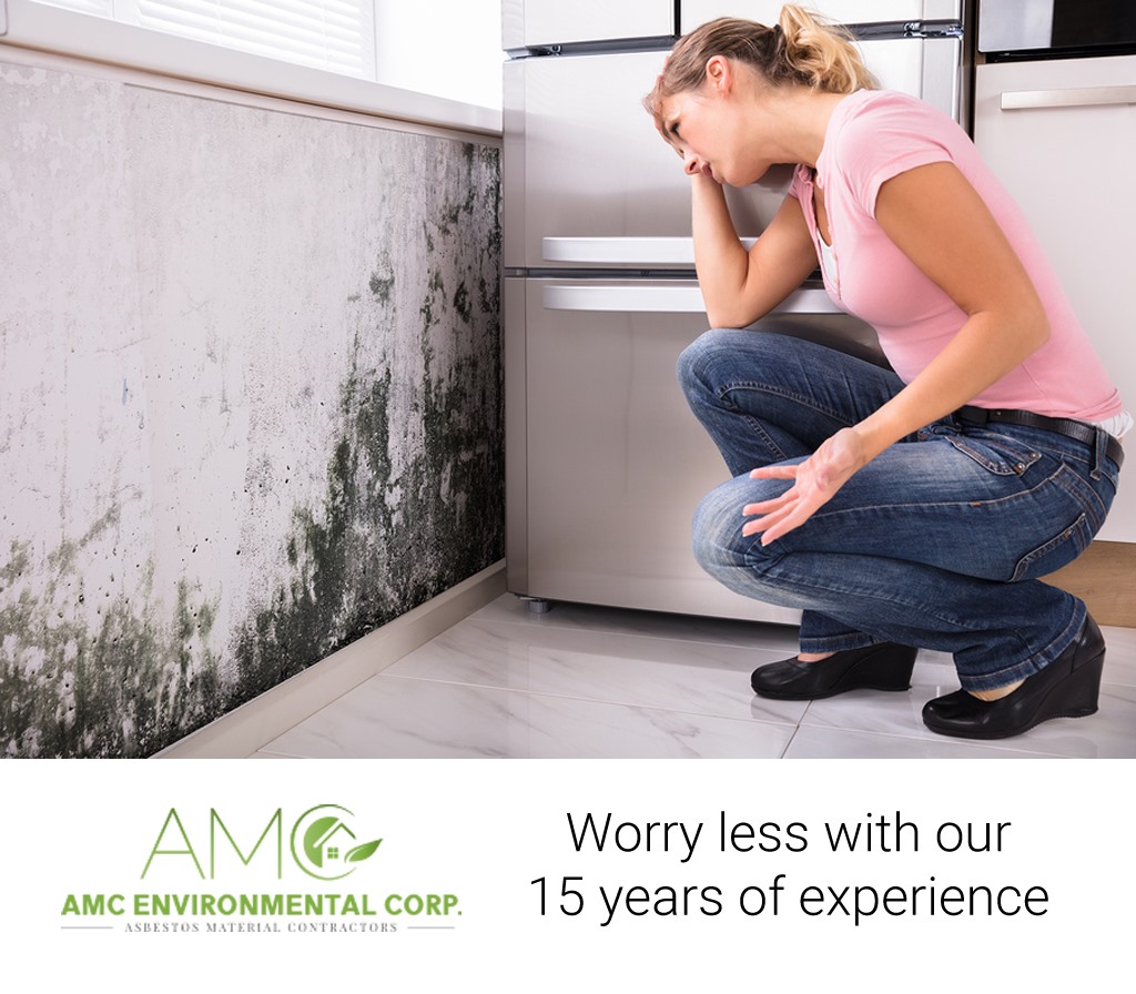 AMC Environmental Corp | 187 Caledonia Rd, Toronto, ON M6E 4S9, Canada | Phone: (416) 533-4114