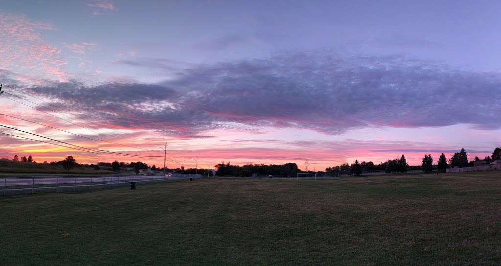 Everglades Park | 365 Pompano Ct, Oshawa, ON L1K 1M9, Canada | Phone: (905) 436-3311
