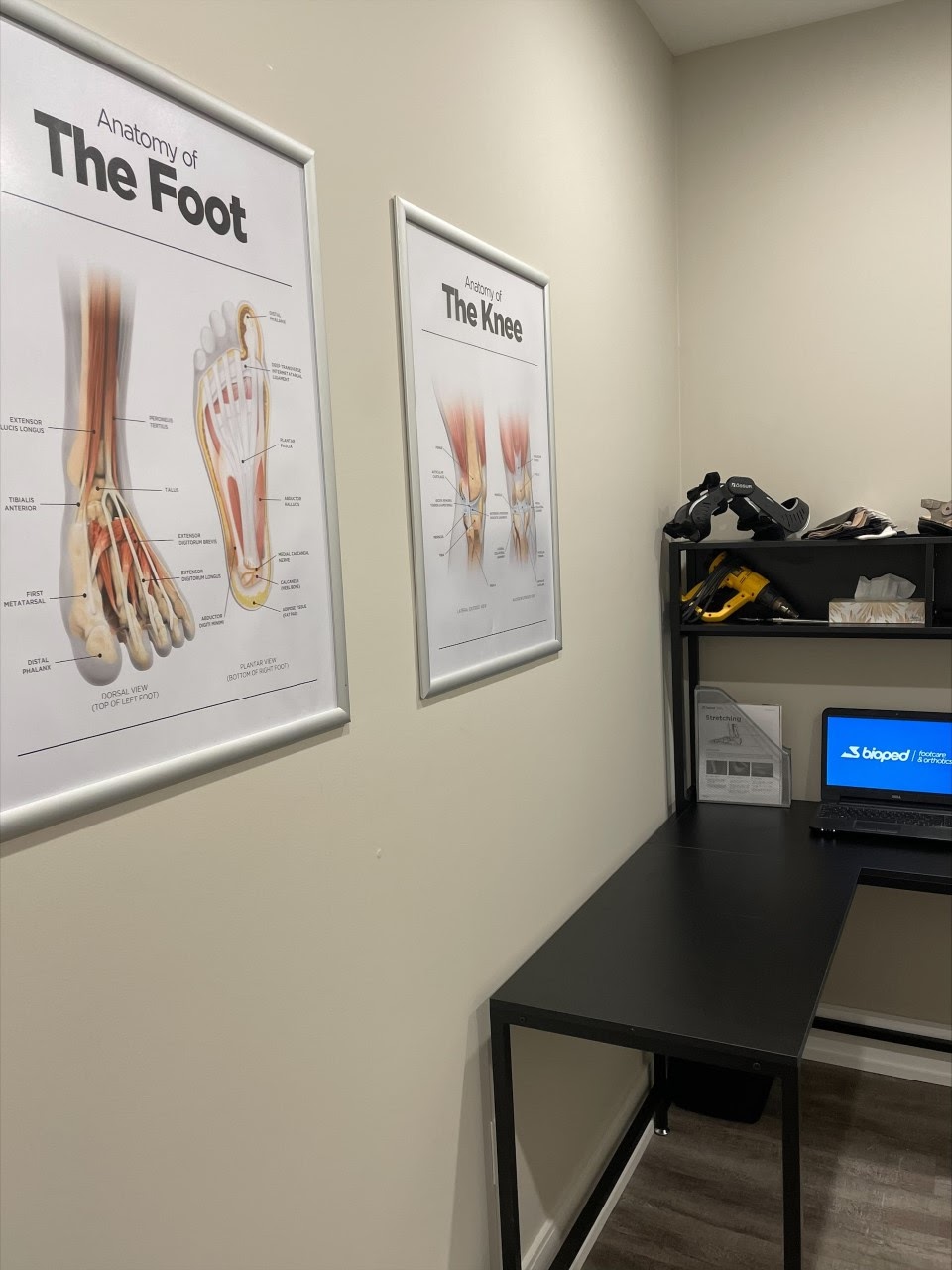 BioPed Footcare & Orthotics | 39 Campus Trail #4, Huntsville, ON P1H 0E5, Canada | Phone: (855) 324-6733