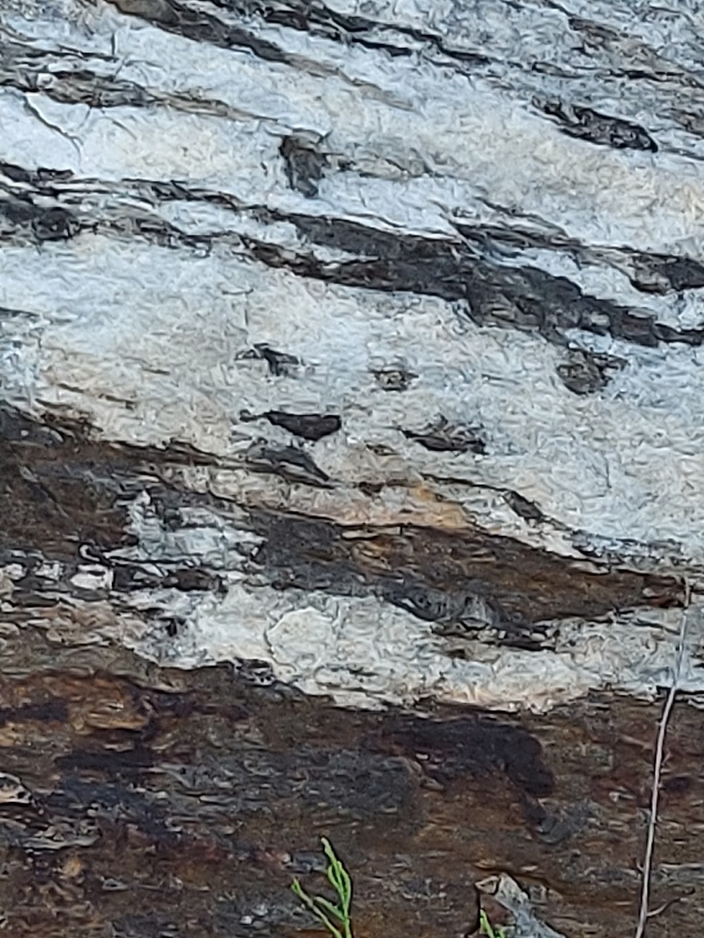 Canadian Shield Gallery | 5948 Ardoch Rd, Ardoch, ON K0H 1C0, Canada | Phone: (613) 206-4868