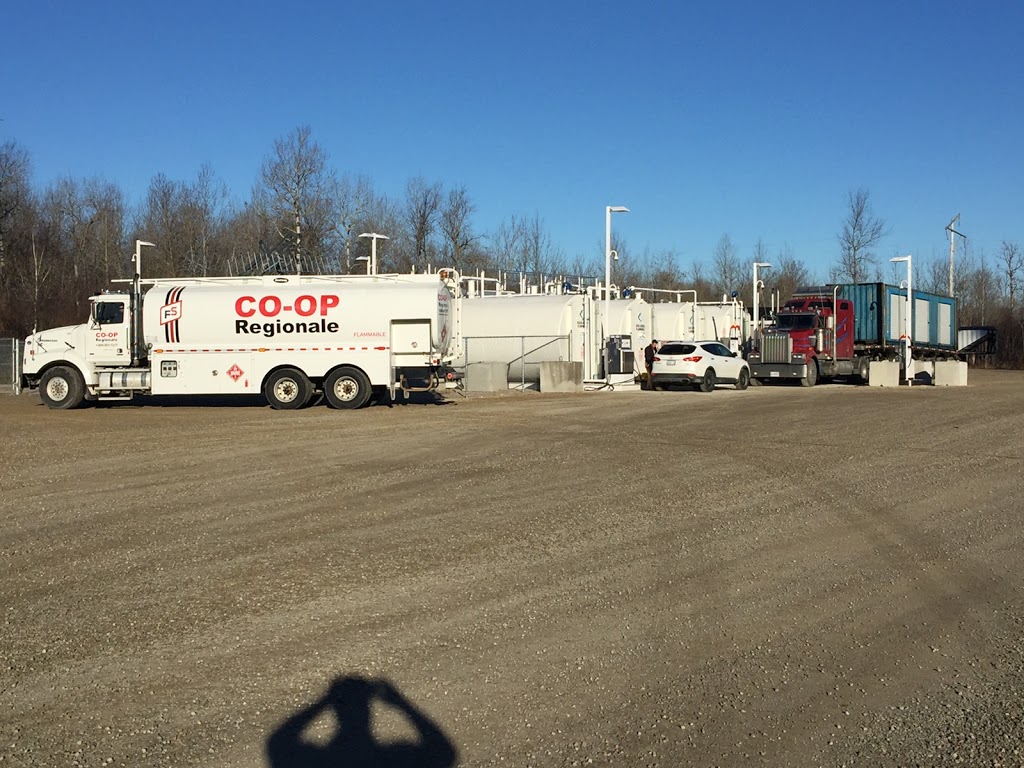 Co-op Régionale | 4 Principal W St, Verner, ON P0H 2M0, Canada | Phone: (705) 594-1555