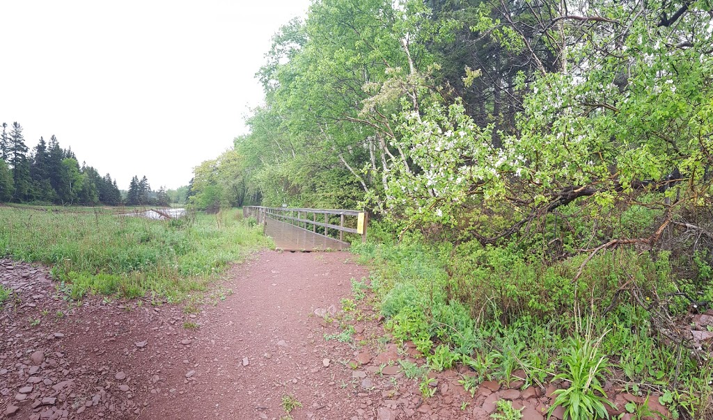 Amherst Shore Provincial Park | 6596 NS-366, Northport, NS B0L 1E0, Canada | Phone: (888) 544-3434