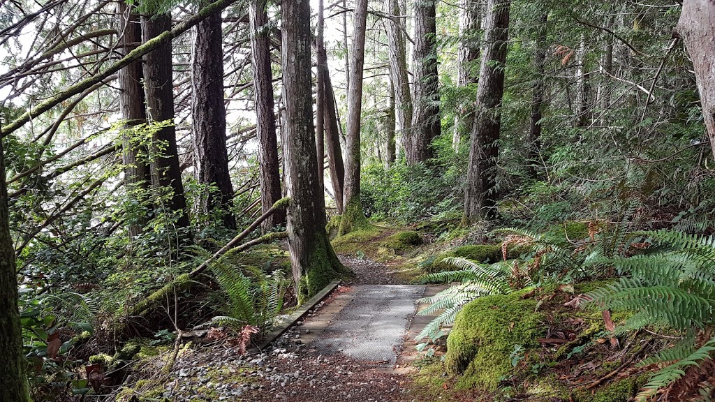 Mermaid Cove, Saltery Bay Provincial Park | 11471 BC-101, Powell River, BC V8A 0N1, Canada | Phone: (604) 286-9992