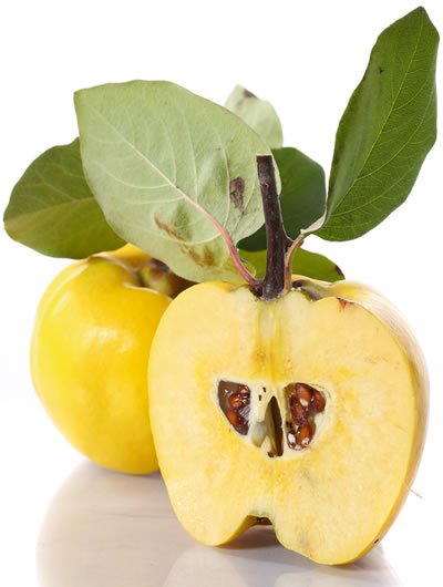 Vibration vitalité - Naturopathe | 1735 Rue des Lys, Val-David, QC J0T 2N0, Canada | Phone: (450) 530-5705