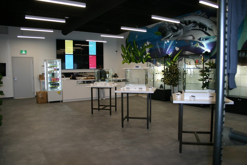 Stash & Co. - Port Hope | 123 Toronto Rd, Port Hope, ON L1A 3S5, Canada | Phone: (613) 292-4733