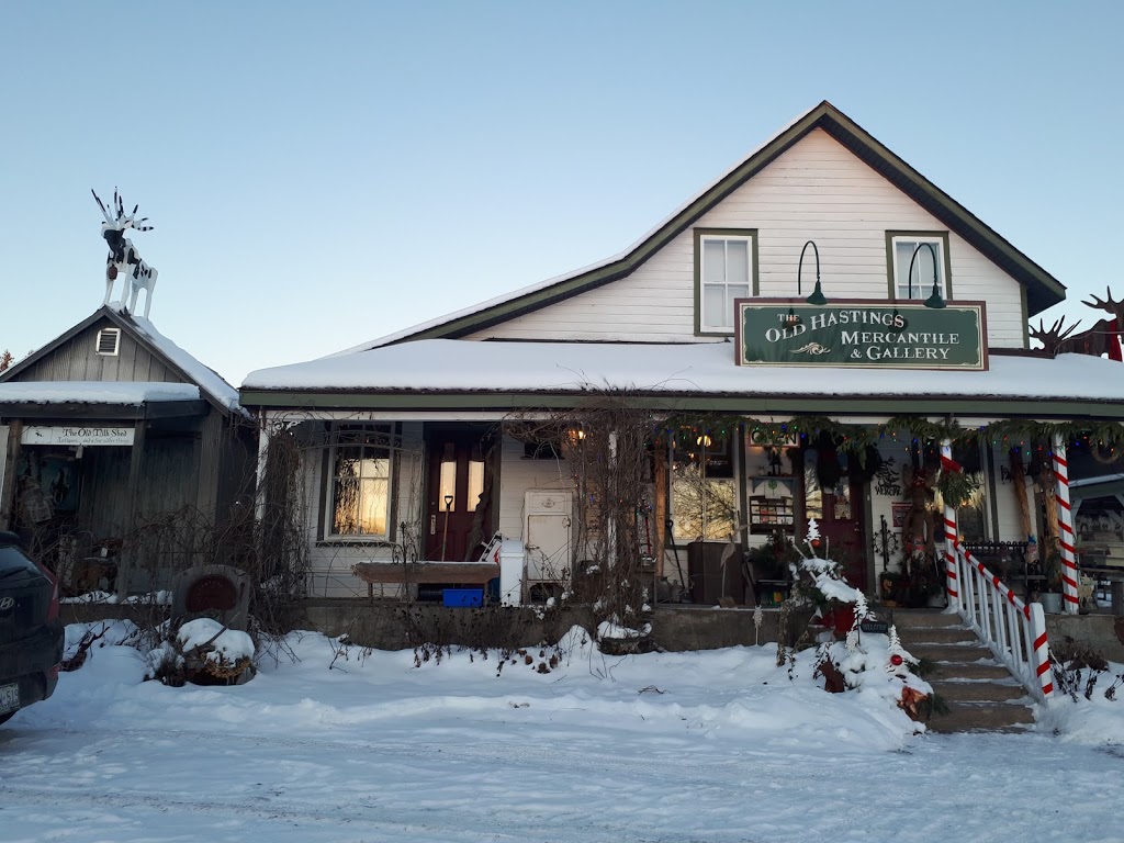 The Old Hastings Gallery | 3103 Old Hastings Rd, Coe Hill, ON K0L 1P0, Canada | Phone: (613) 337-5050