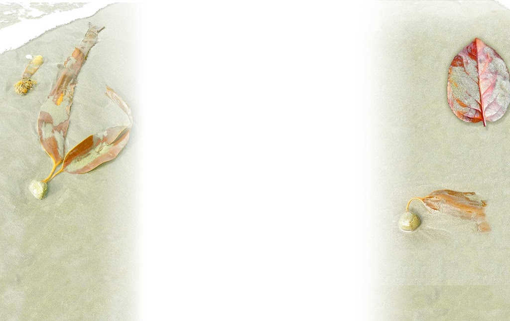 Spa Space | 4510-B Chatterton Way, Victoria, BC V8X 5H8, Canada | Phone: (250) 479-3432