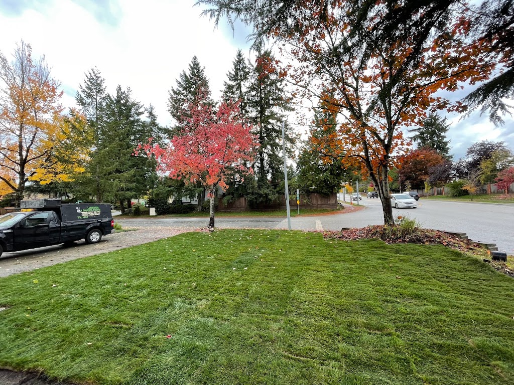 Kash Landscaping | Capilano Rd, North Vancouver, BC V7R 4J1, Canada | Phone: (604) 719-1371