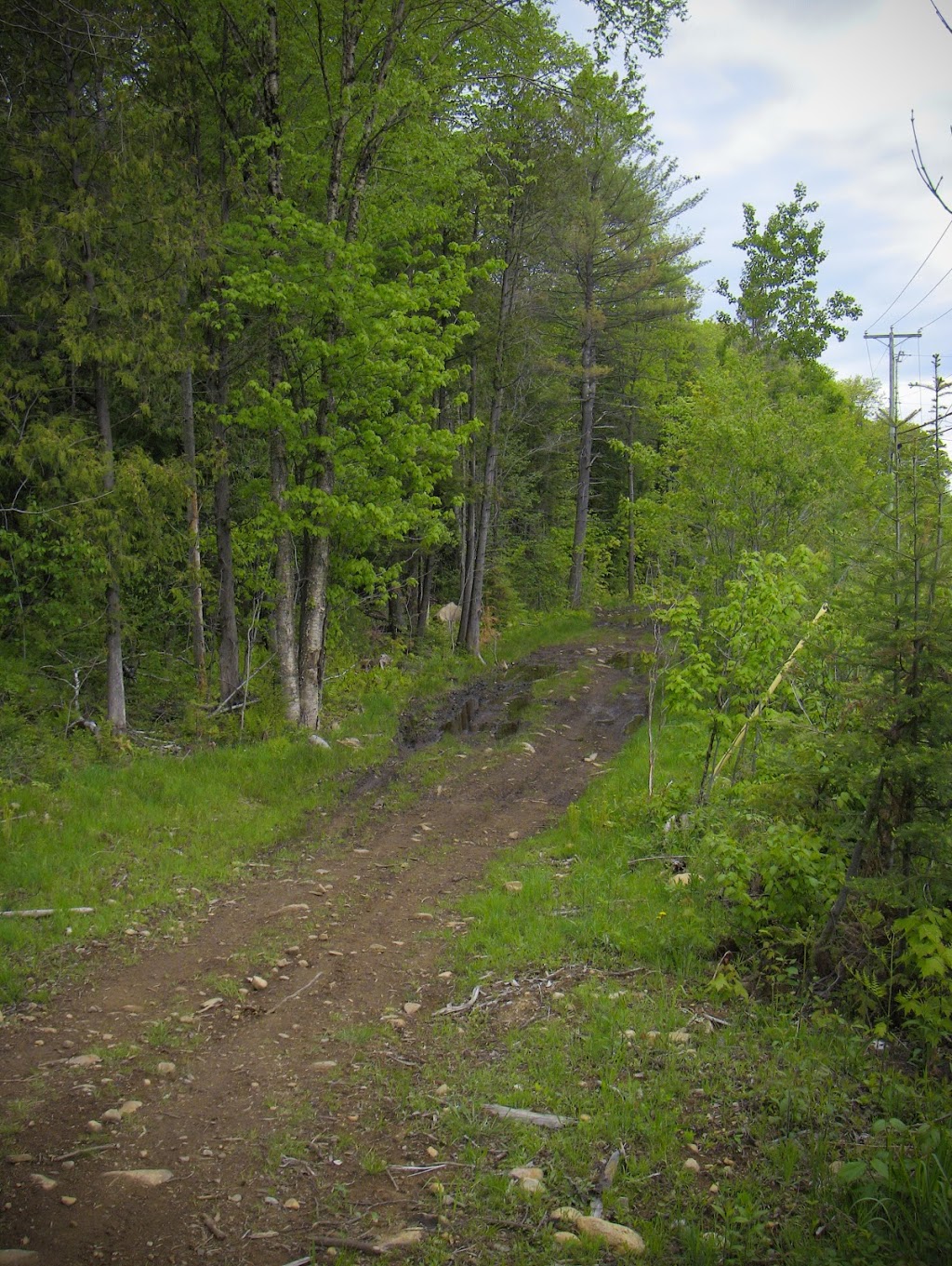 Sentier de quads et motoneiges | 1re Avenue Sainte-Catherine, Saint-Jean-de-Matha, QC J0K 2S0, Canada | Phone: (438) 499-4419