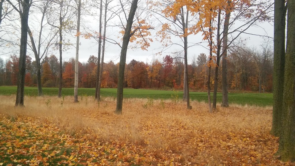 Seneca Hickory Stick Golf Course | 4560 Creek Rd, Lewiston, NY 14092, USA | Phone: (716) 754-2424