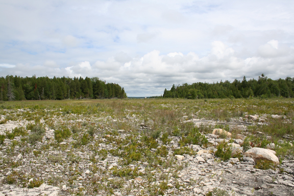 Lyal Island Nature Reserve | Stokes Bay, ON N0H 2M0, Canada | Phone: (800) 440-2366