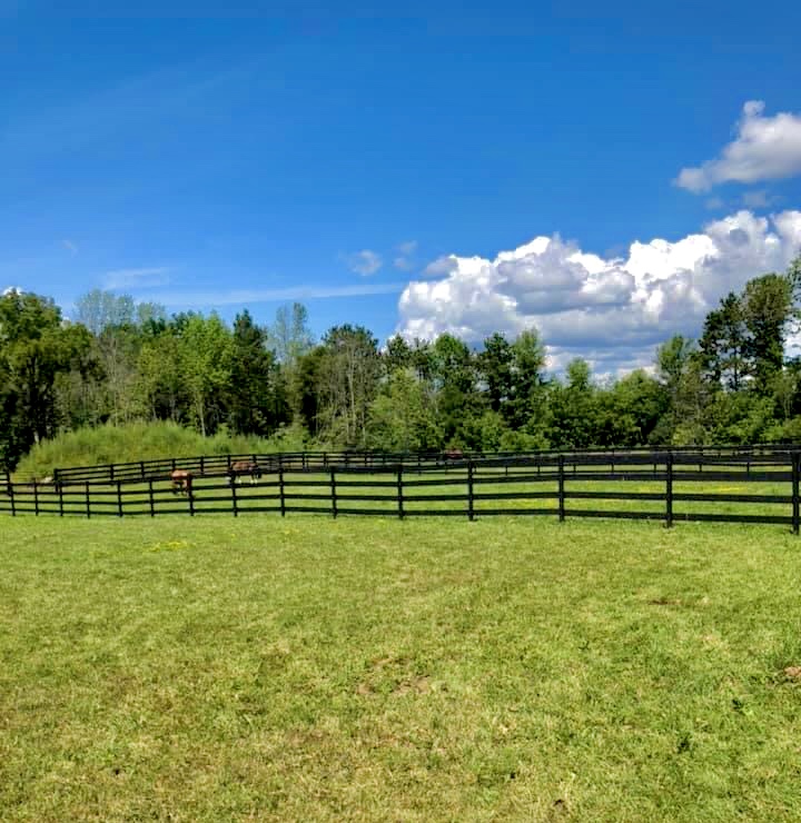 Dei Equorum Stables | 2228 Hallecks Rd W, Brockville, ON K6V 5T3, Canada | Phone: (613) 802-0544