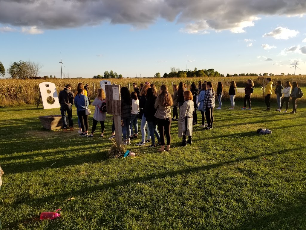 Corn Maze on Wolfe Island | 607 Rd 95 Wolfe Island, Frontenac Islands, ON K0H 2Y0, Canada | Phone: (613) 385-1998