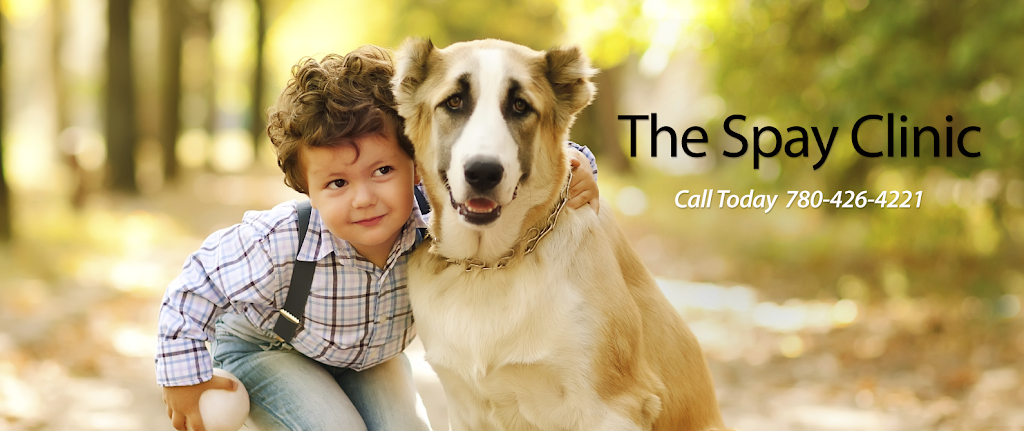 The Spay Clinic | 10575 111 St NW, Edmonton, AB T5H 3E8, Canada | Phone: (780) 426-4221
