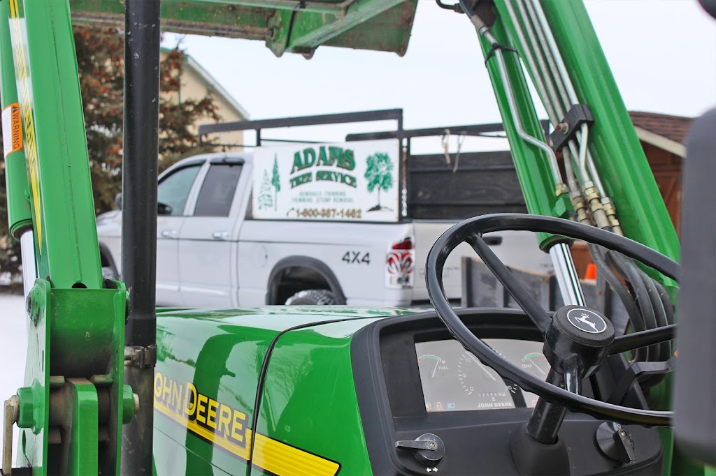 Adams Tree Service Ltd. | 813126 Base Line, Norwich, ON N0J 1P0, Canada | Phone: (519) 536-6865