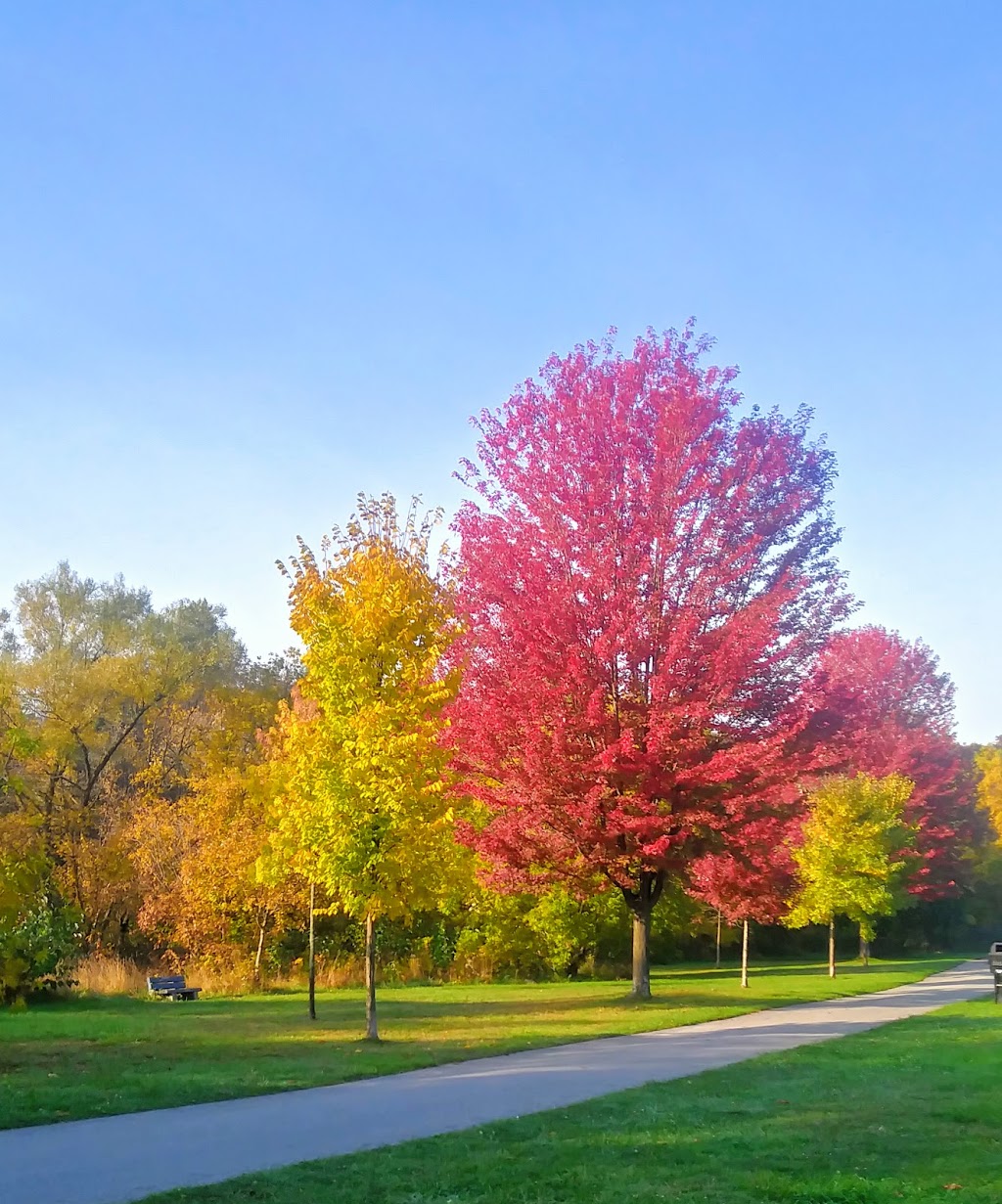 Weston Lions Park | 135 Humber River Recreational Trail, Toronto, ON M9N 1H7, Canada | Phone: (416) 338-4386