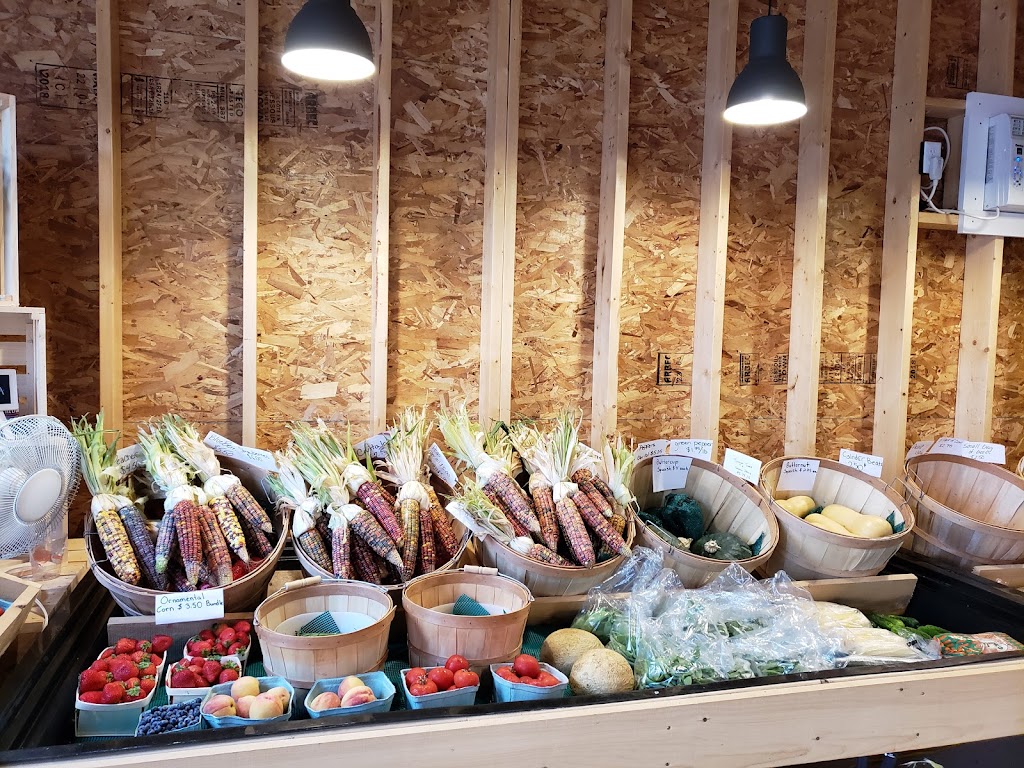 Waynes Country Market | 4 French Village Station Rd, Upper Tantallon, NS B3Z 3Z9, Canada | Phone: (902) 826-1977
