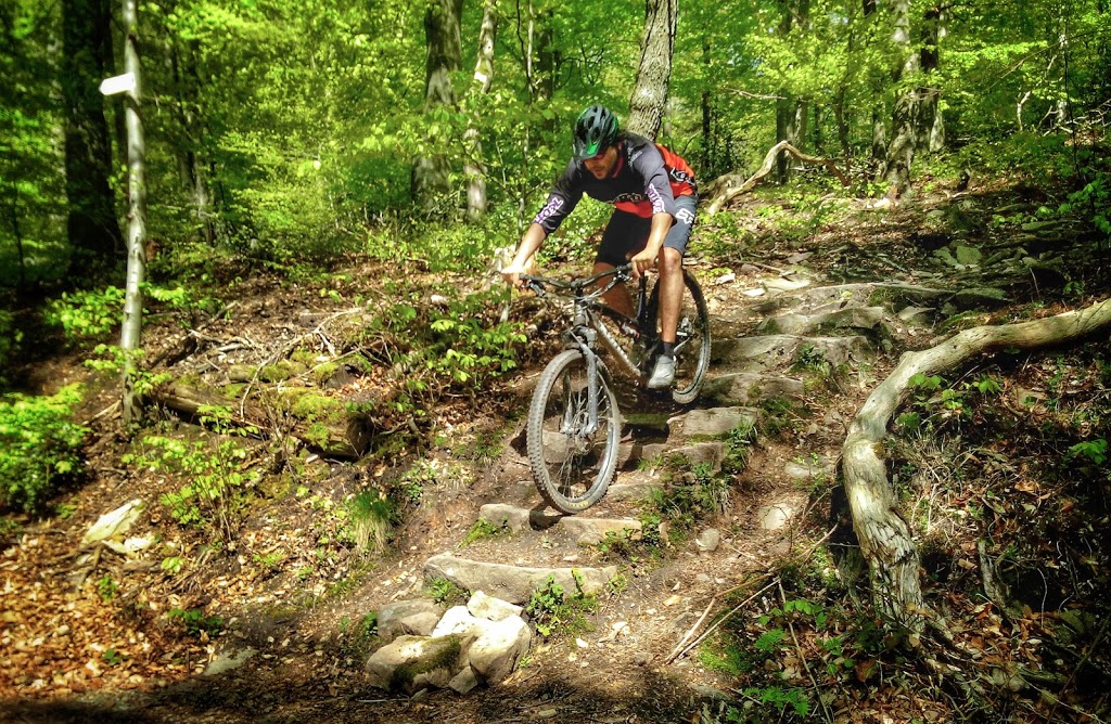 Kona Bicycle Company | 2455 Salashan Loop, Ferndale, WA 98248, USA | Phone: (360) 366-0951