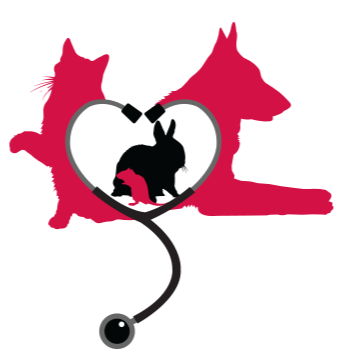 Cobblestone Animal Hospital | 1084 Rest Acres Rd #1, Paris, ON N3L 0B5, Canada | Phone: (519) 442-3286