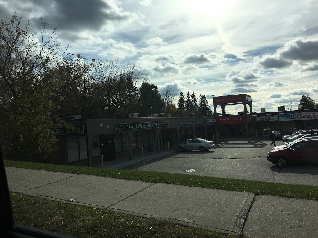 Royal City Animal Hospital | 245 Edinburgh Rd S, Guelph, ON N1G 2J6, Canada | Phone: (519) 763-4992