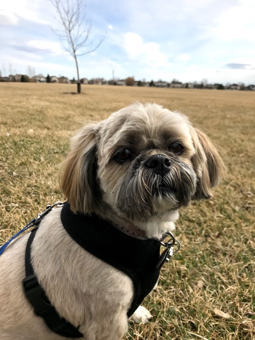 Aldgate Park | Dakota Crossing, Winnipeg, MB R2N, Canada