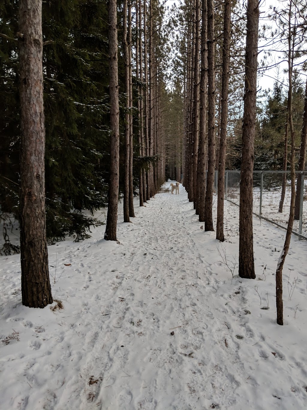 Kiwanis Dog Park | Bridgeport North, Kitchener, ON N2K 3N8, Canada