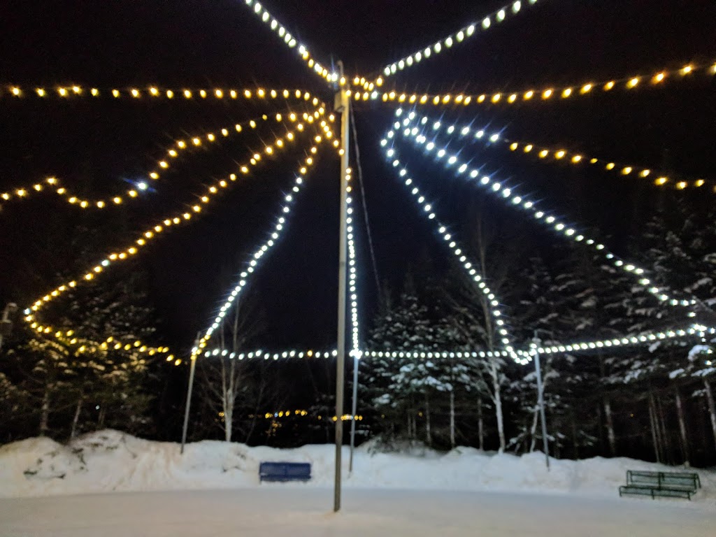 Patinoire de Shannon | 73 Chemin de Gosford, Shannon, QC G3S 0W4, Canada | Phone: (418) 844-3778