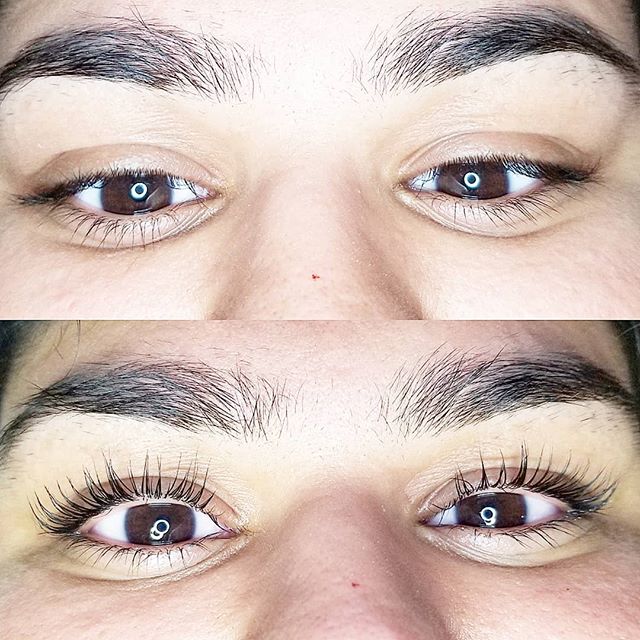 T.O Lash Studio | 15 Saddleback Ct, Scarborough, ON M1B 2M3, Canada | Phone: (647) 242-4075