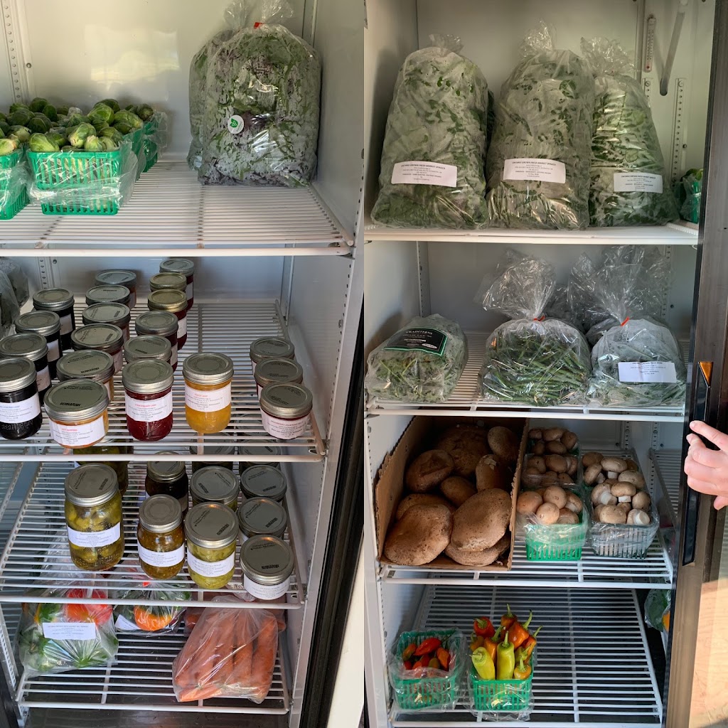Traditions Natural Grains and Gardens | 5464 Wellington Rd 26, Guelph/Eramosa, ON N0B 2K0, Canada | Phone: (519) 767-8654