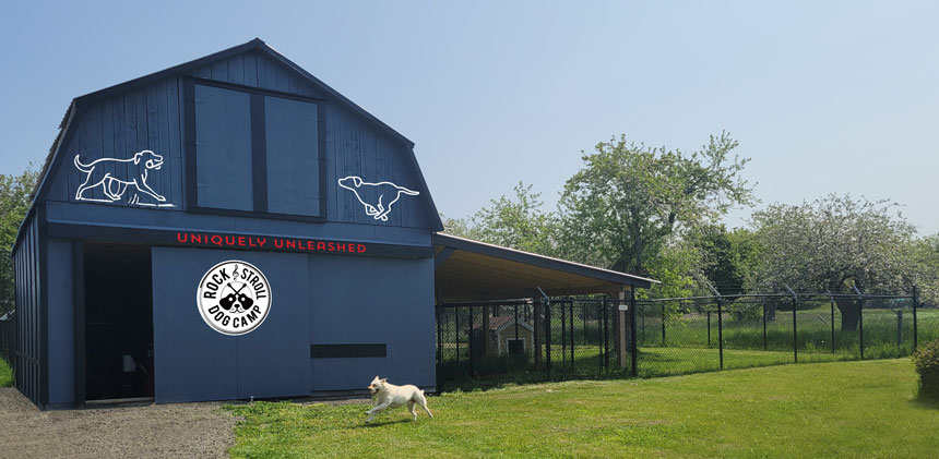 Rock & Stroll Dog Camp | 675 Marsh Rd, Round Hill, NS B0S 1A0, Canada | Phone: (902) 526-2921