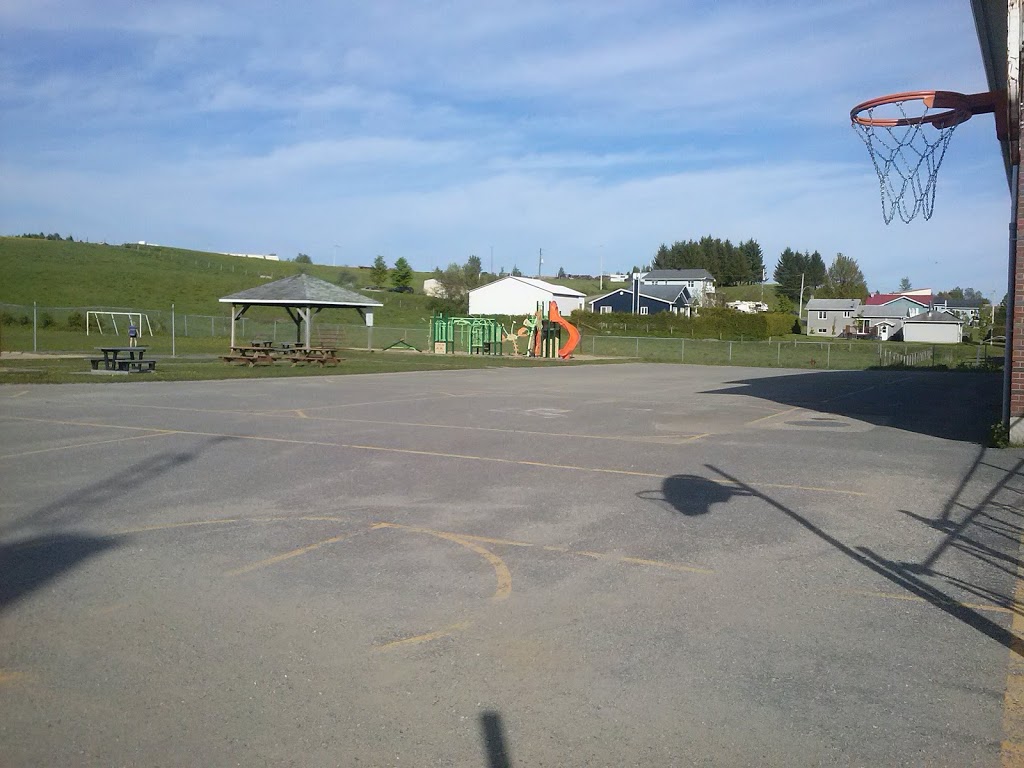 École Notre-Dame-Du-Perpétuel-Secours | 480 Rue du Curé Charles Lemire, Ham-Nord, QC G0P 1A0, Canada | Phone: (819) 344-2595