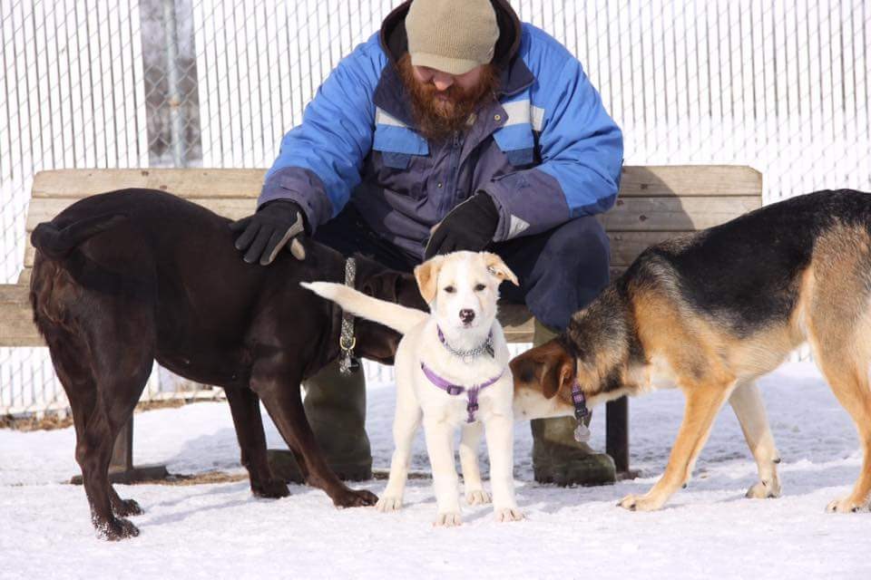 Long Lane Boarding Kennels | 46365, Range Rd 201, AB T0B 3P0, Canada | Phone: (780) 672-7724