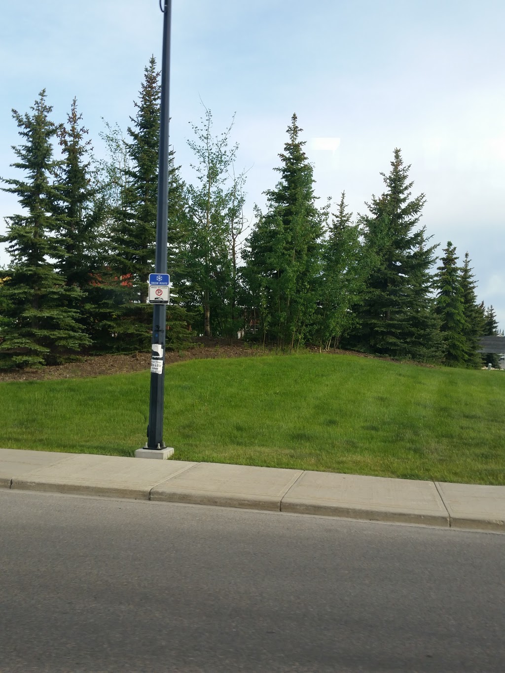 Calgary Waldorf School | 515 Cougar Ridge Dr SW, Calgary, AB T3H 5G9, Canada | Phone: (403) 287-1868