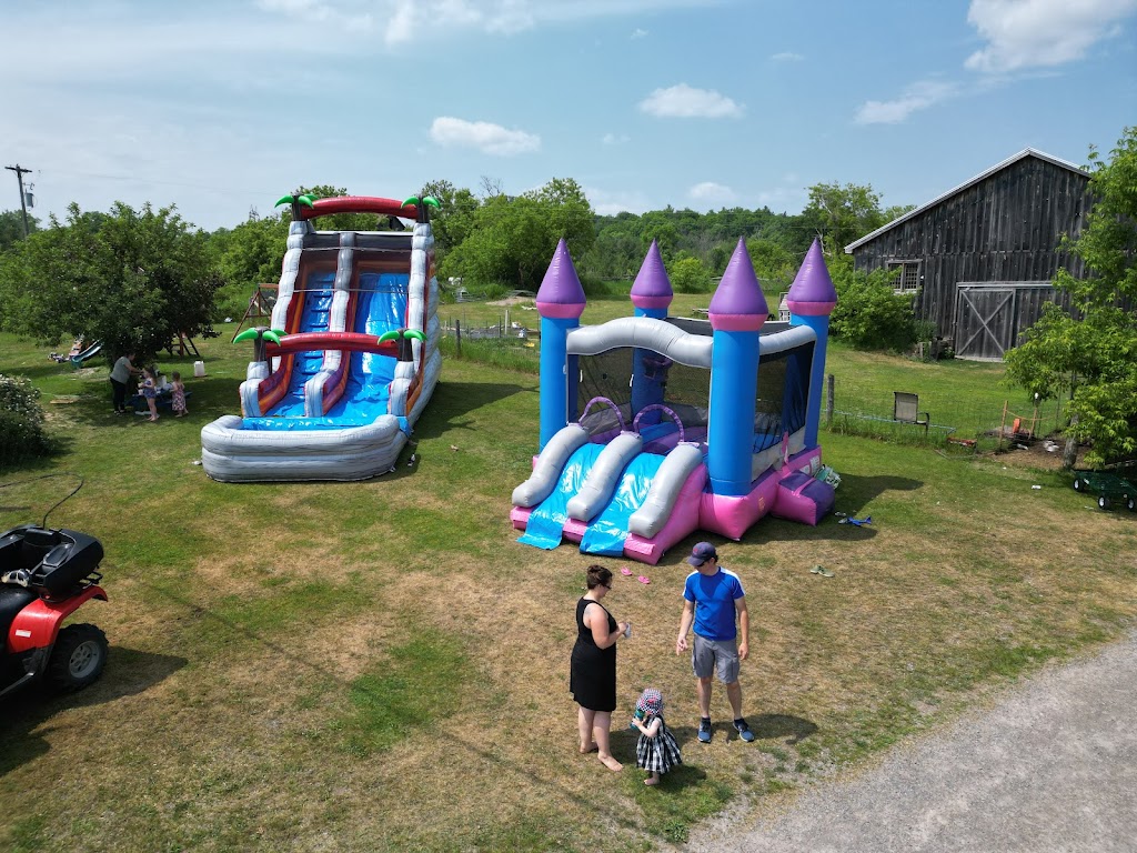BF Bouncy Castles | 61 Riverside Dr, Harcourt, ON K0L 1L0, Canada | Phone: (613) 438-0347