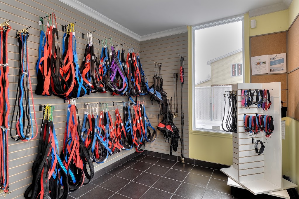 Nature Animale | 2719 Chemin Ste Marie, Mascouche, QC J7K 1N2, Canada | Phone: (450) 417-7070
